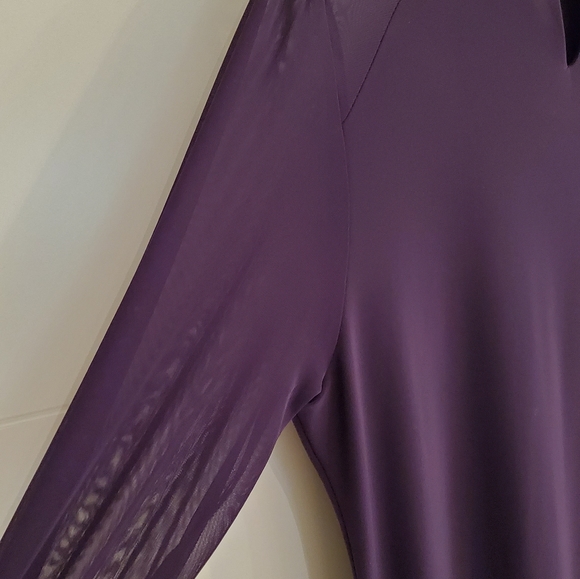 Sheer Lantern Sleeve Dress - Picture 10 of 12